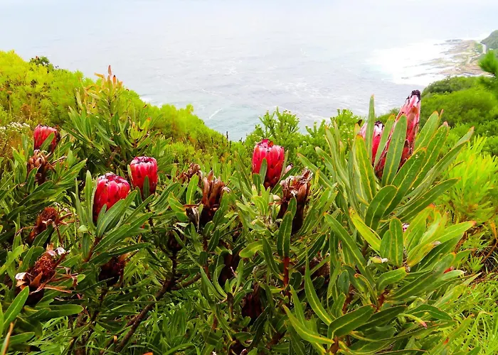 The Dome - Misty Mountain Reserve