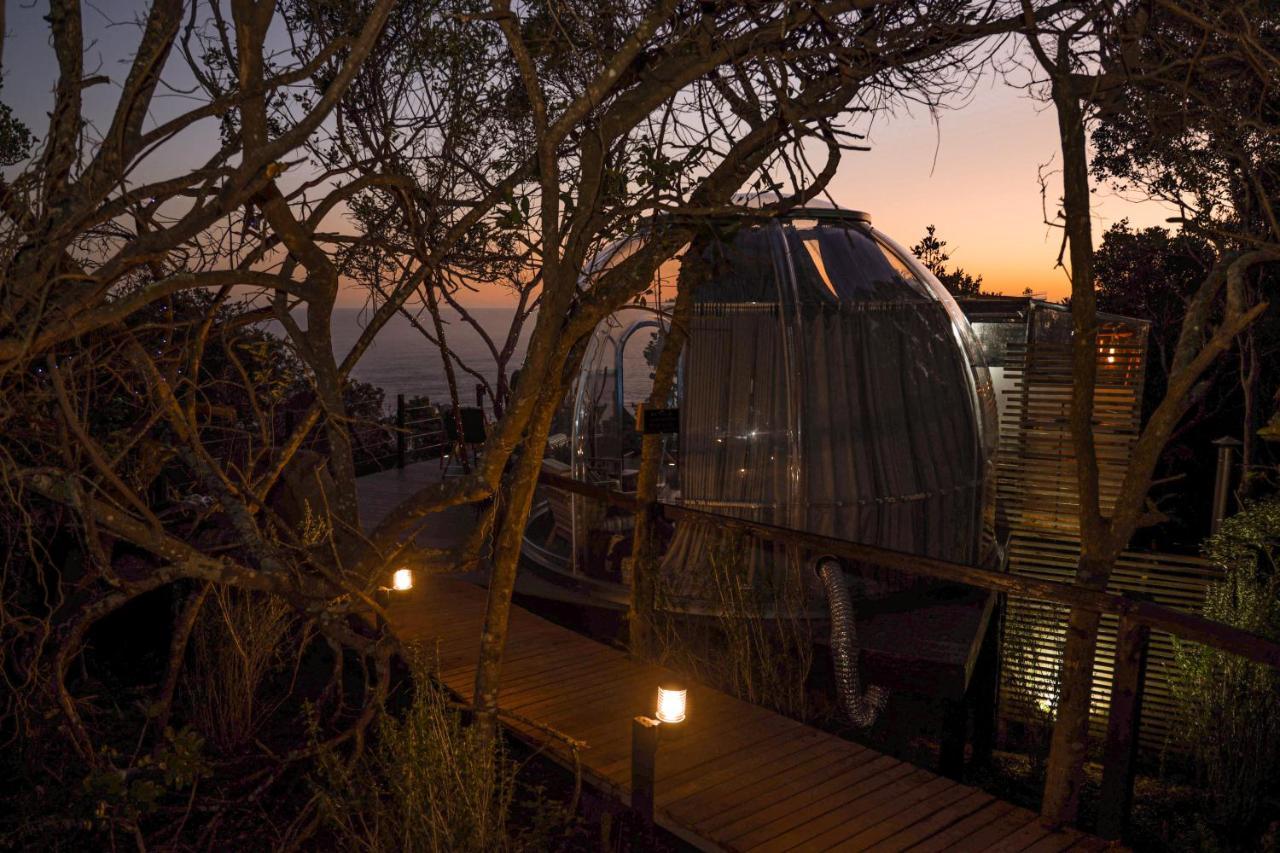 The Dome - Misty Mountain Reserve Luxury tent *